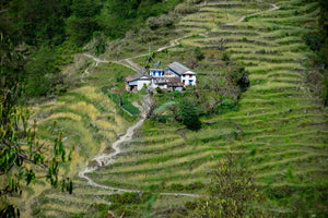 Evasion aux 4 coins du monde - Paysages et visages du Népal