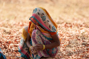 Femme en sari, cueillette assise sur ses talons, d'une main vers l'autre
