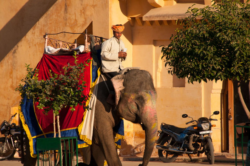 Evasion aux 4 coins du monde - Splendeurs du Rajasthan