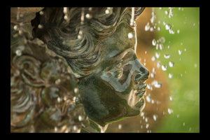 Marmouset de profil, avec bordure noire, sous les guirlandes de gouttelettes d'eau - Grandes eaux du Parc de Versailles