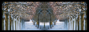 L'entrée du Parc par le boulevard de la Reine, sous la neige - Composition en miroir - Totem au centre !