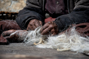 Tri de la laine de yak. Sur le toit du monde, région des Annapurnas en Himalaya