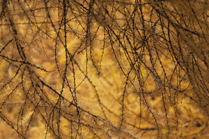 Tableau photographique AAB_9682