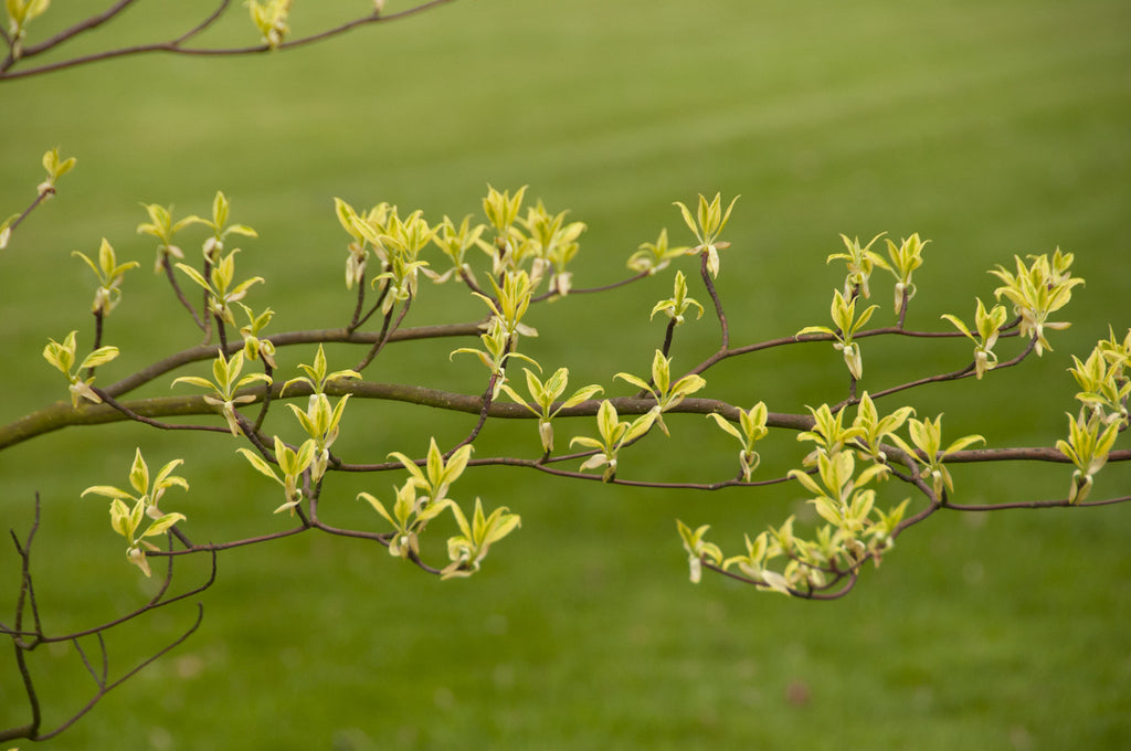 Tableau photographique AAD_1207