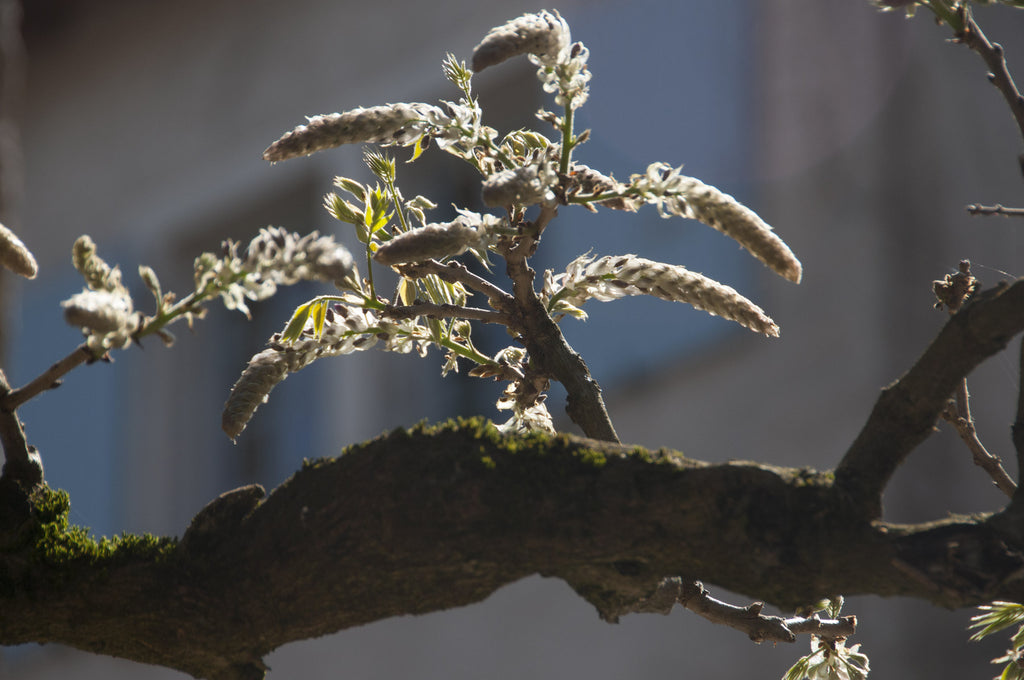 Tableau photographique AAD_1840