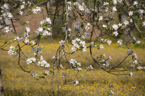 Tableau photographique AAD_2047