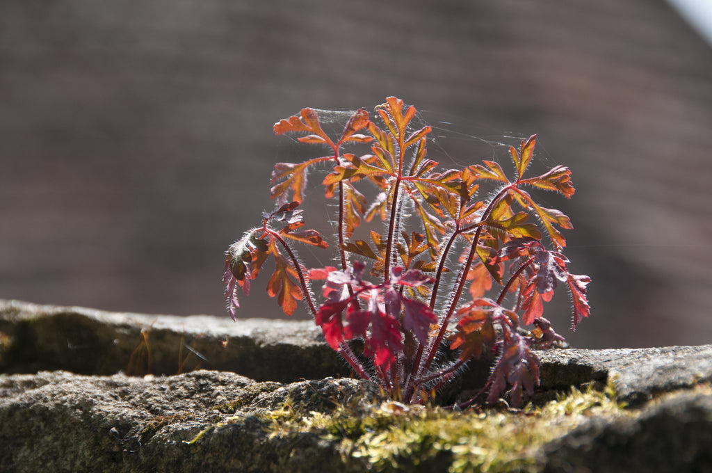 Tableau photographique AAD_2605