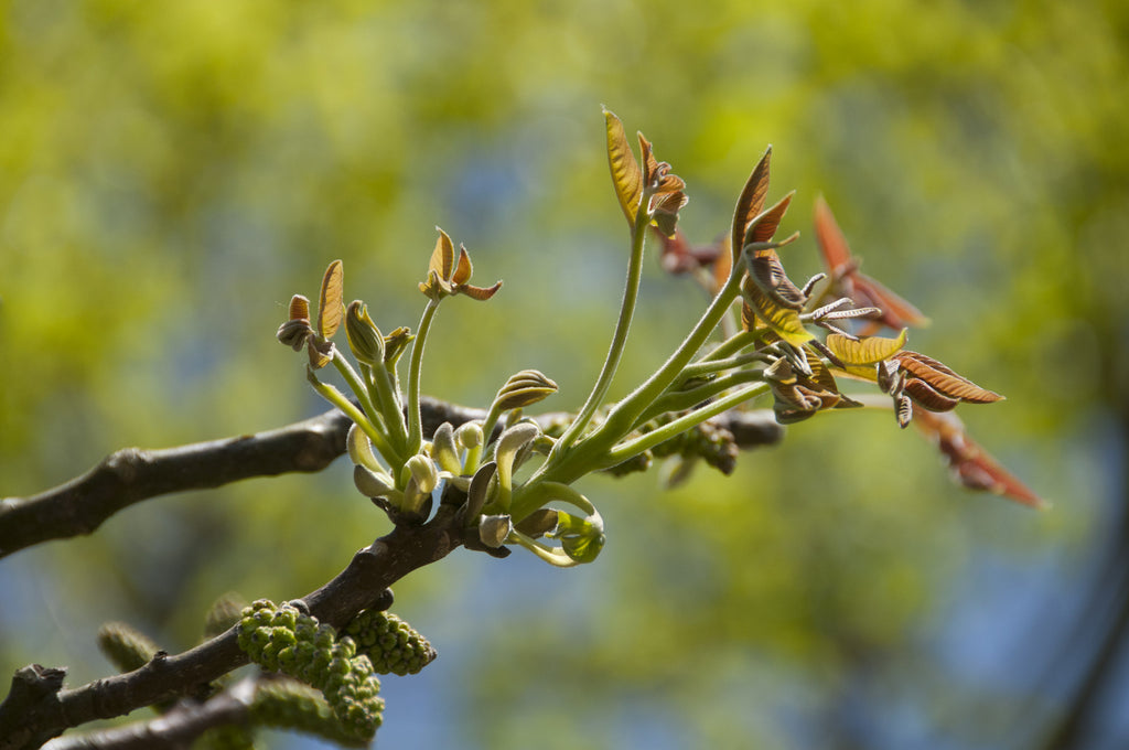 Tableau photographique AAD_2616